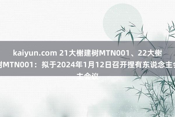 kaiyun.com 21大榭建树MTN001、22大榭建树MTN001：拟于2024年1月12日召开捏有东说念主会议