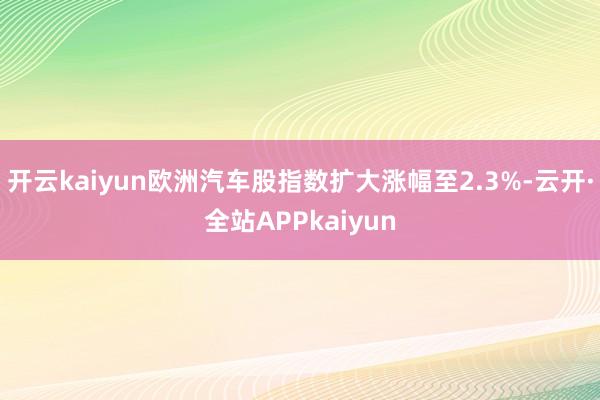 开云kaiyun欧洲汽车股指数扩大涨幅至2.3%-云开·全站APPkaiyun