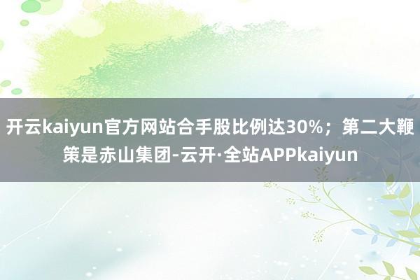 开云kaiyun官方网站合手股比例达30%；第二大鞭策是赤山集团-云开·全站APPkaiyun