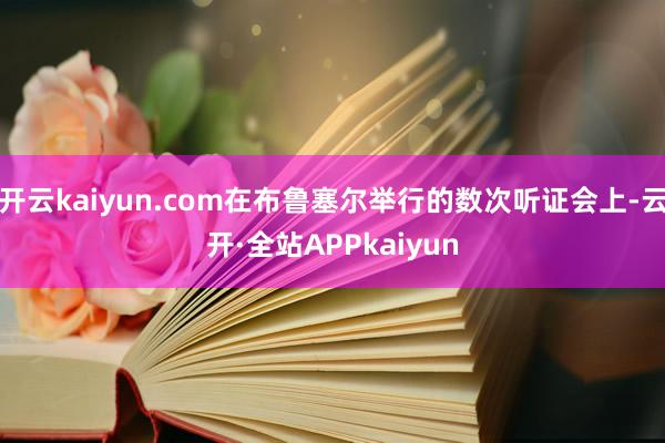 开云kaiyun.com在布鲁塞尔举行的数次听证会上-云开·全站APPkaiyun