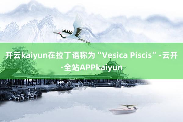 开云kaiyun在拉丁语称为“Vesica Piscis”-云开·全站APPkaiyun