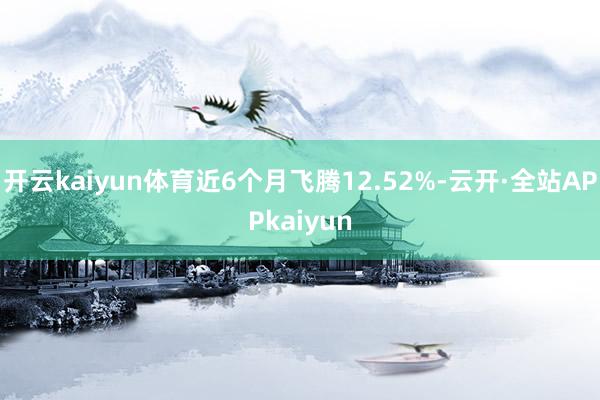 开云kaiyun体育近6个月飞腾12.52%-云开·全站APPkaiyun