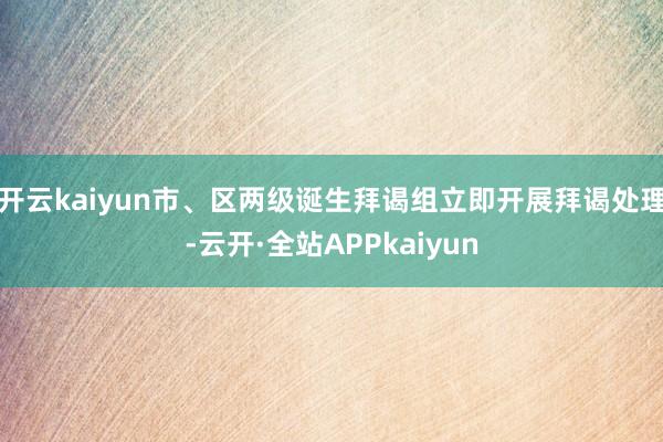 开云kaiyun市、区两级诞生拜谒组立即开展拜谒处理-云开·全站APPkaiyun