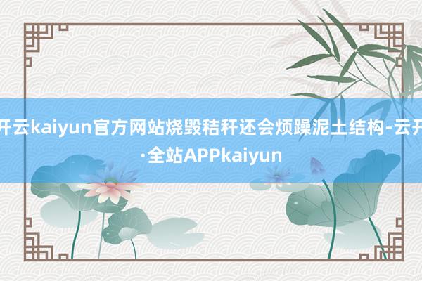 开云kaiyun官方网站烧毁秸秆还会烦躁泥土结构-云开·全站APPkaiyun