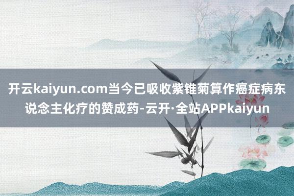 开云kaiyun.com当今已吸收紫锥菊算作癌症病东说念主化疗的赞成药-云开·全站APPkaiyun