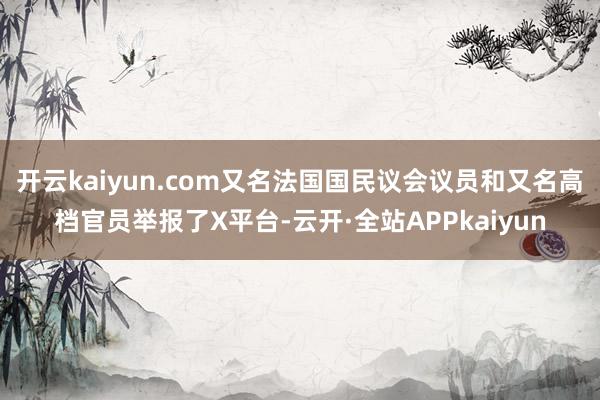 开云kaiyun.com又名法国国民议会议员和又名高档官员举报了X平台-云开·全站APPkaiyun