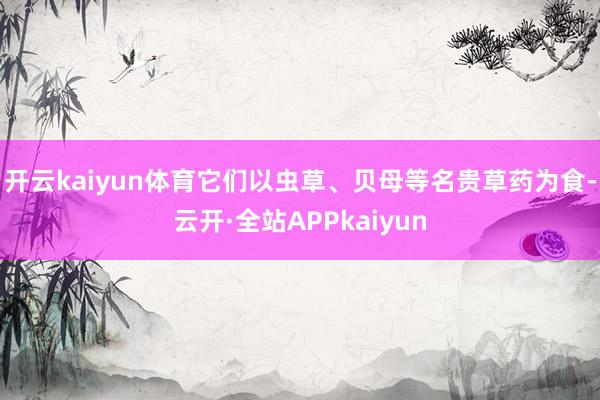 开云kaiyun体育它们以虫草、贝母等名贵草药为食-云开·全站APPkaiyun