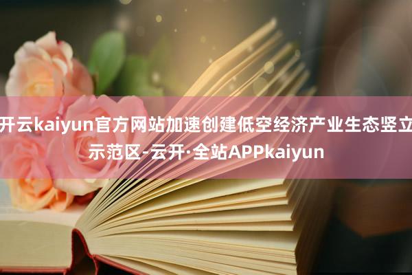 开云kaiyun官方网站加速创建低空经济产业生态竖立示范区-云开·全站APPkaiyun