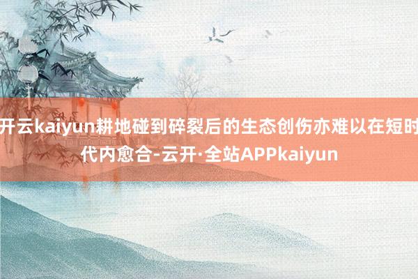 开云kaiyun耕地碰到碎裂后的生态创伤亦难以在短时代内愈合-云开·全站APPkaiyun